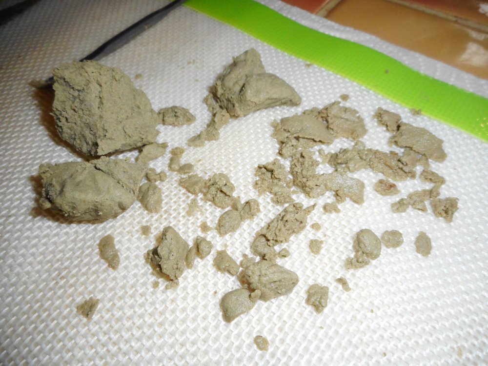 DSCN0191.JPG