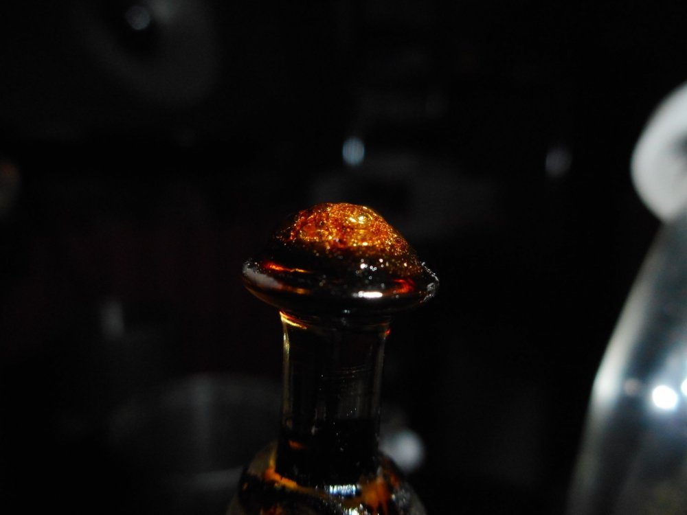 DSCN0450.JPG