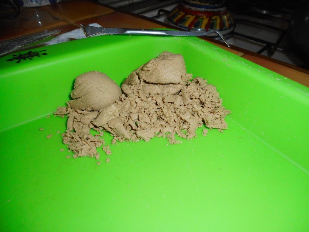 DSCN0614.JPG
