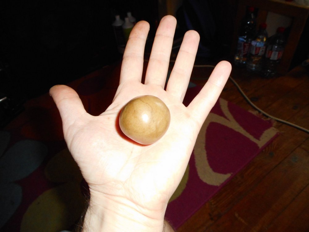 DSCN0627.JPG