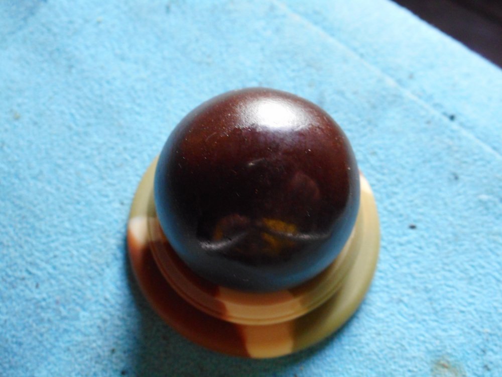 DSCN1351.JPG