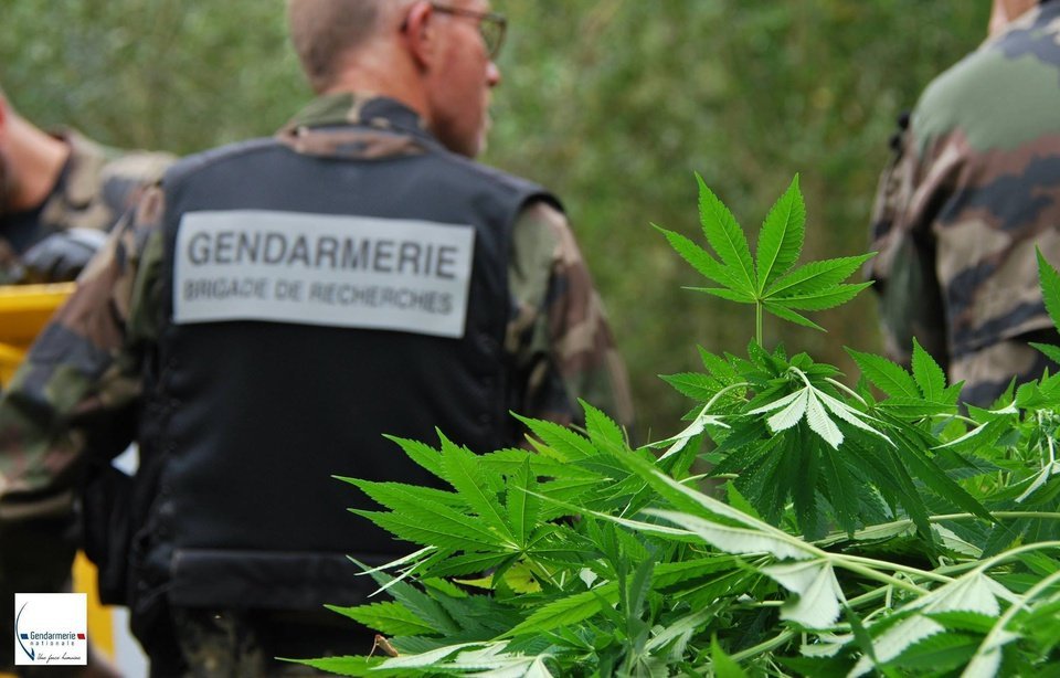 France: La guerre contre le trafic de cannabis est-elle perdue?