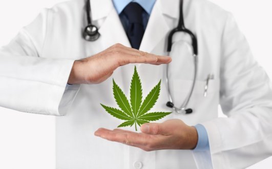 Cannabis thérapeutique. Efficace et sans risque contre les douleurs chroniques ?