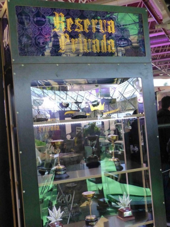 P1260774aaa.jpg