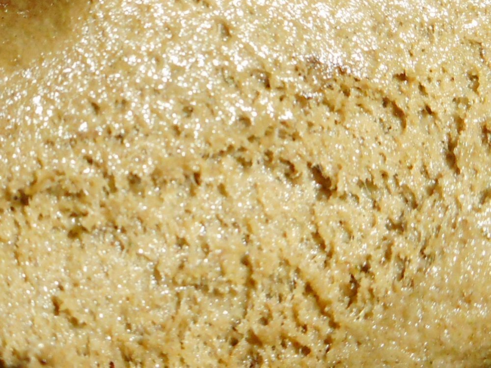RSCN0262.JPG