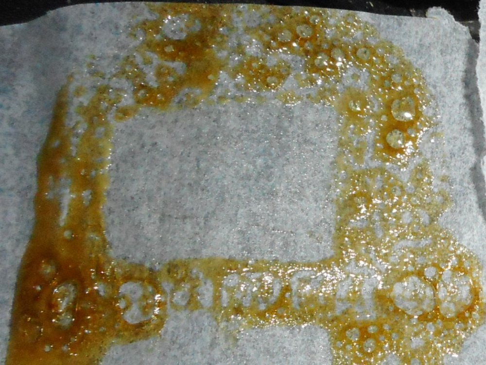 RSCN0276.JPG