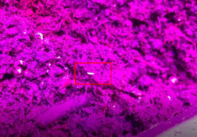 Screenshot_12.png.ffdea69aaa9ed2bc474e904de9bcdac1.png