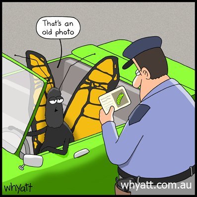 cartoons_image_17.jpg.fb43f2a80b36ff8b13458a4b4c1040bb.jpg