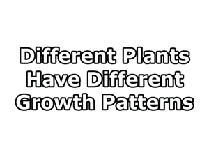 growth-patterns.gif.59c15d41017f1951abc6a180aa3e284b.gif