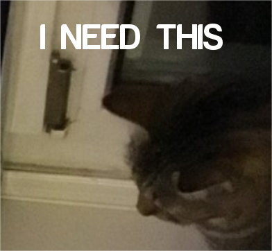 image.png.6f72fd12ae0233404e709b903a40f428.png