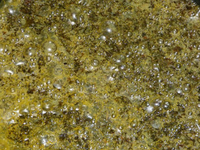 medium.P1250981aaa.jpg.e1be38cf1e1abe1e8