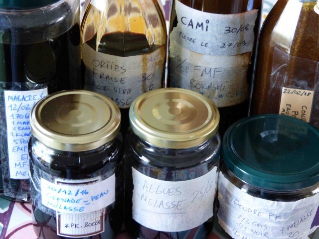 medium.P1260614aaa.jpg.eabac7df3ac265030