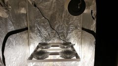 20180301_075325.jpg