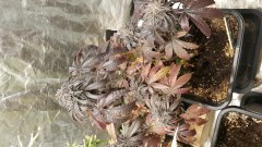 20180301_075353.jpg