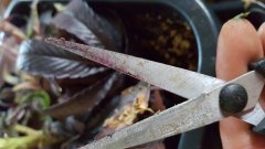 20180306_172340.jpg