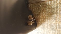 20180321_075904.jpg