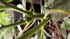 20180321_075937.jpg