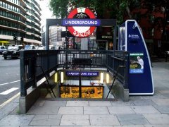underground Seeds Collective