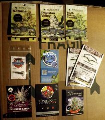 Mes seeds / session outdoor 2018