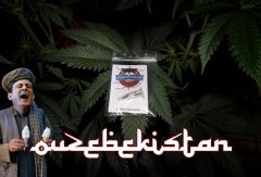 ouzbek USC