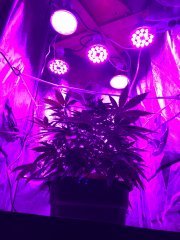 IMG_0056.JPG