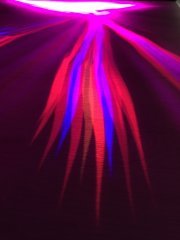 IMG_0082.JPG