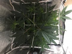 IMG_0103.JPG