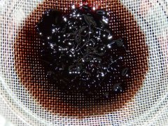 P1260598aaa.jpg