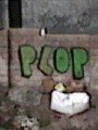 plop.JPG