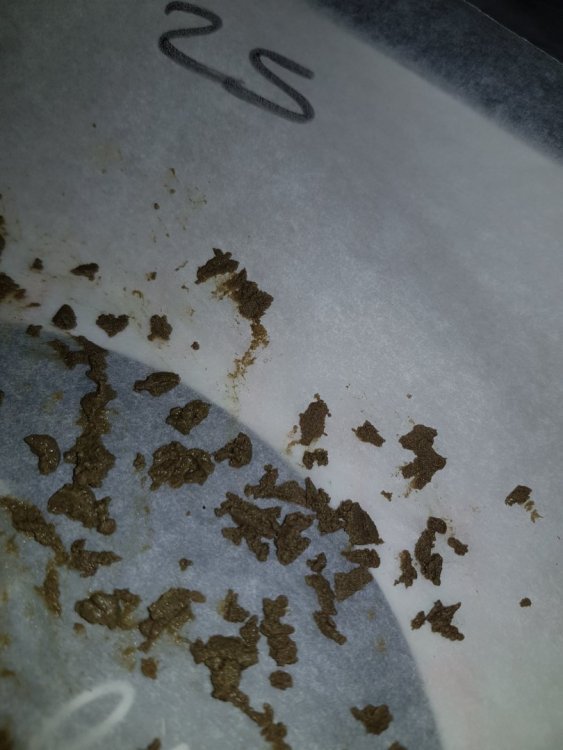 20180328_141112-min.thumb.jpg.3b069aa907fbf6f3d8fbb356d19eafc7.jpg