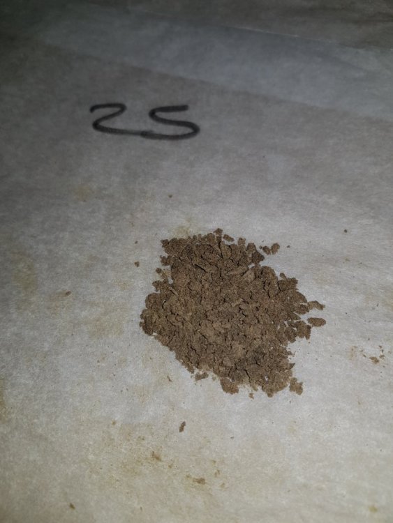 20180328_204538-min.thumb.jpg.7fd62caebaad5a10c83aa9b8405726d4.jpg
