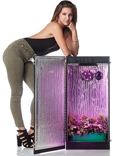 6-Plant-LED-Hydroponics-Grow-Box-0.jpg.7d351243b13a6d593161758d67e80398.jpg