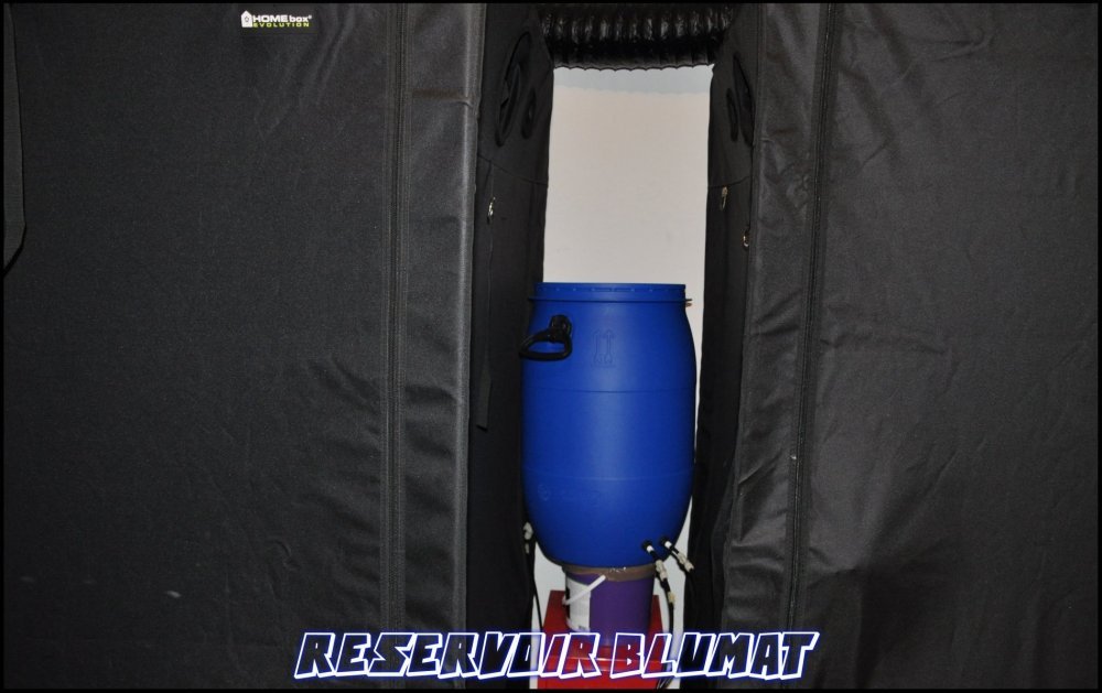 Reservoir-Blumat---PRES---Original.thumb.jpg.c350bab886c3c862641d148032e0cf58.jpg