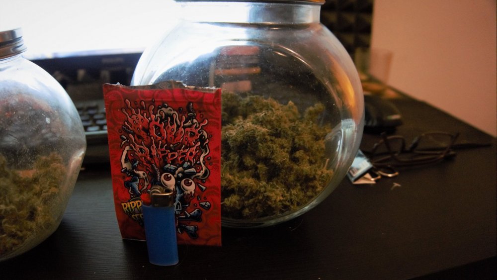 Sour_Bocal_t.thumb.jpg.7d6f88a9616f8a4f63c3ba8d13f0ac95.jpg