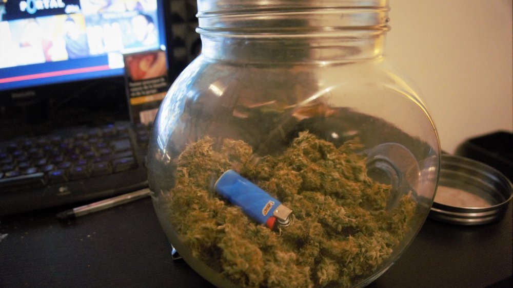 Sour_Diesel_2_t.thumb.jpg.536c54e8f104e26b307f15e17d1da407.jpg
