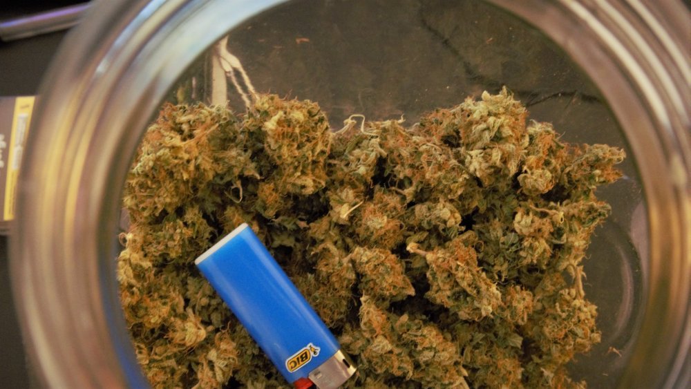 Sour_Diesel_t.thumb.jpg.64b4200a440d2ead0e25ff5b7ae60f73.jpg