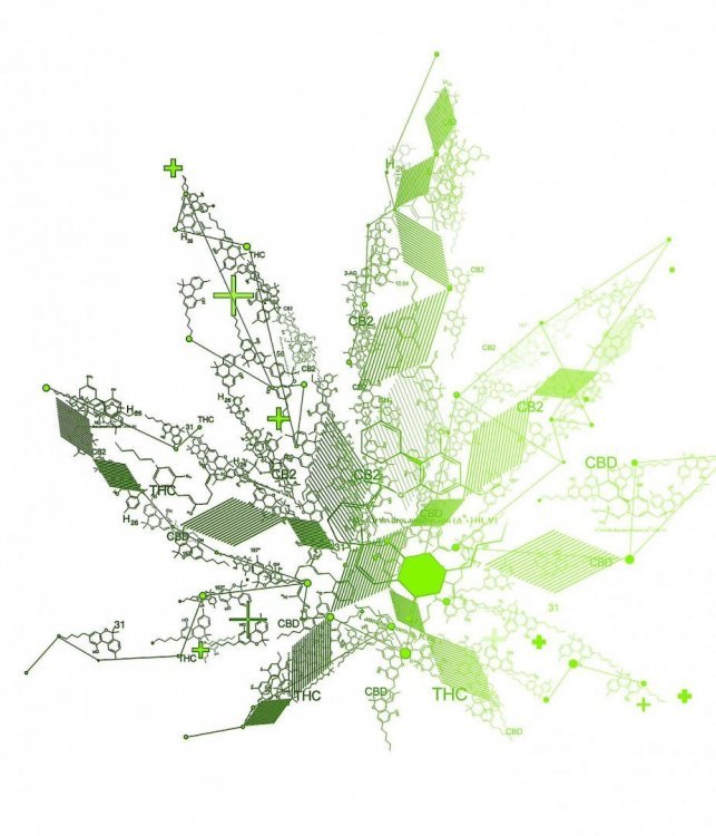 asv-colloque-cannabinoides-22oct14.jpg