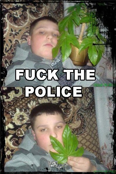 fuck-da-police-marijuana-leaf.jpg.e9b21c5d8c58293289dd63cbd0f2ba4c.jpg