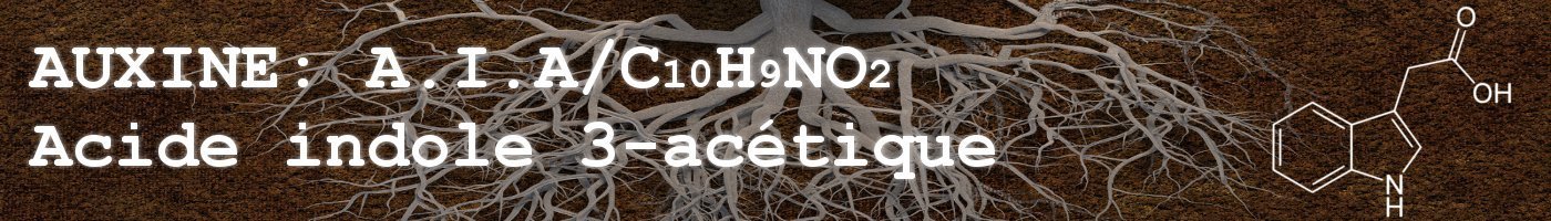 large.5ae4574d4bd95_00auxine(2).jpg.83c745373e4eb4d3690c271c50e8dfcd.jpg
