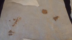 Bubble Hash maison.jpg