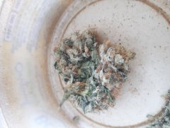 20180311_142956.jpg