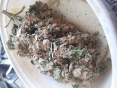 20180325_085413.jpg