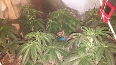 20180402_004532.jpg