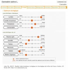 Ecologie - Optimum et caractéristiques climatiques - Cannabis sativa.jpg