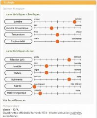 Ecologie - Optimum et caractéristiques climatiques - Sisymbrium officinale.jpg