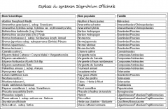 Especes du syntaxon Sisymbrium officinale.png