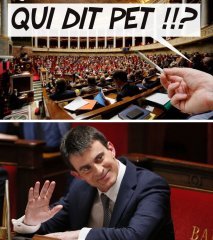 qui dit pet ?