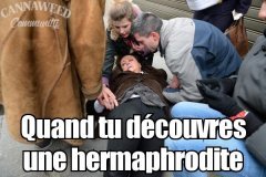 qd tu découvre une hermaphrodite