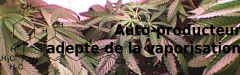 bannière 1.png