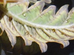 DSCF1598.JPG